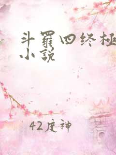 斗罗四终极斗罗小说
