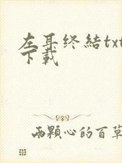 左耳终结txt下载