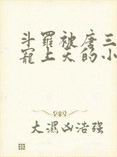 斗罗被唐三哥哥宠上天的小说