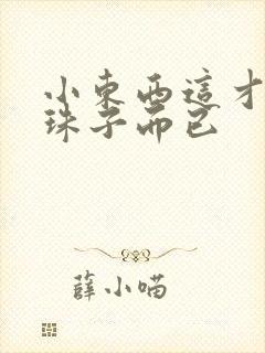 小东西这才一颗珠子而已