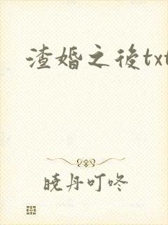 渣婚之后txt