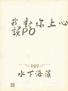 我对你上心了小说PO