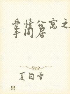 爱情公寓之与杀手同居