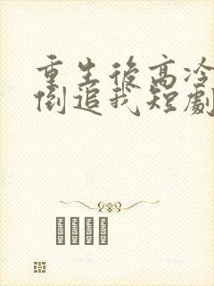 重生后高冷妻子倒追我短剧免费观看