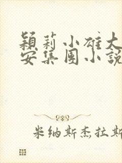 颖莉小雄大雄银安集团小说