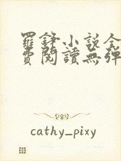 罗铮小说全文免费阅读无弹窗