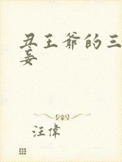 丑王爷的三妻四妾