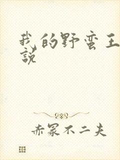 我的野蛮王妃小说