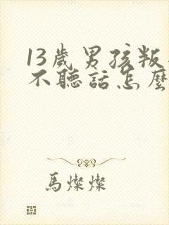 13岁男孩叛逆不听话怎么办