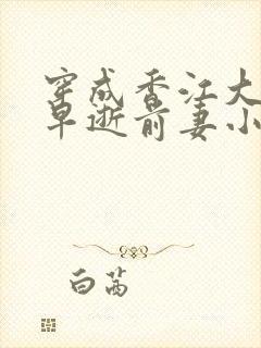 穿成香江大佬的早逝前妻小说