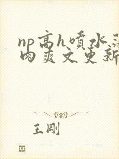 np高h喷水荡肉爽文更新时间