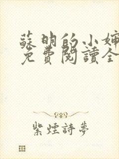 苏明的小婶小说免费阅读全文无弹窗