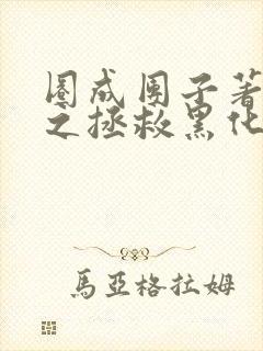 圈成团子著快穿之拯救黑化boss男主