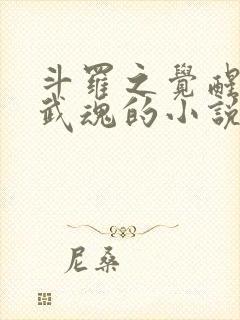 斗罗之觉醒棍类武魂的小说