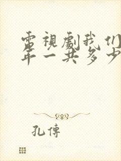 电视剧我们这十年一共多少集