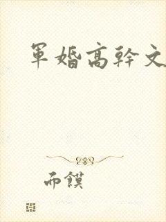 军婚高干文h