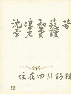 沈浪和苏若雪全章免费读