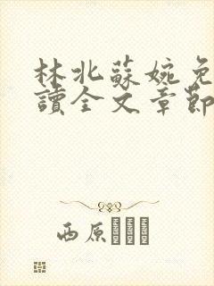 林北苏婉免费阅读全文章节