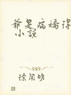 爷是病娇得宠着 小说