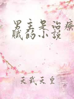 男主是治疗系天赋的小说