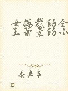 女总裁的全能兵王萧晨的小说