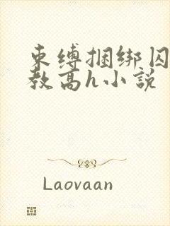 束缚捆绑囚禁调教高h小说