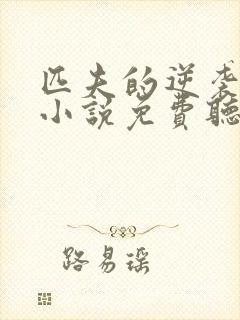 匹夫的逆袭有声小说免费听