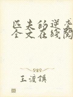 匹夫的逆袭小说全文在线阅读