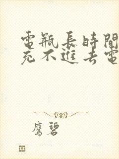 电瓶长时间不用充不进去电怎么办