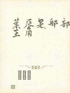 叶辰是哪部小说主角