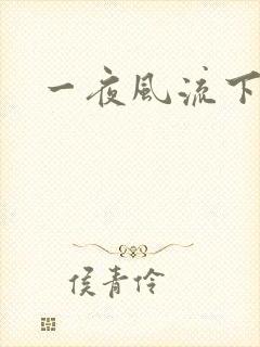 一夜风流下载