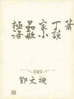 极品家丁萧夫人洛敏小说