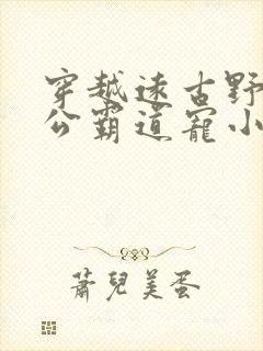 穿越远古野人老公霸道宠小说在线