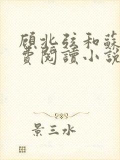 顾北弦和苏o免费阅读小说大结局