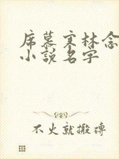 席慕寒林念儿的小说名字