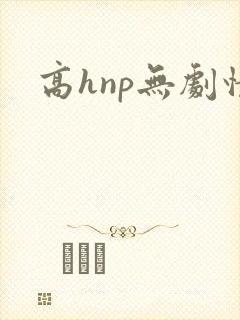 高hnp无剧情