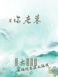 x你老墓