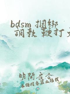 bdsm 捆绑 调教 鞭打文