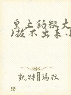 皇上的粗大(h)拔不出来小说