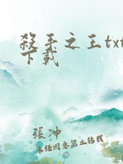 杀手之王txt下载