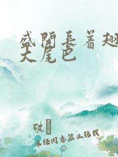 盛开长着翅膀的大尾巴