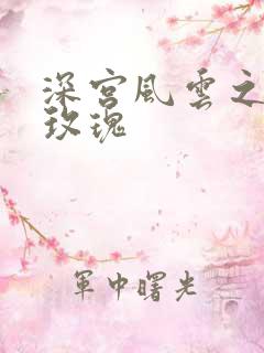 深宫风云之铿锵玫瑰