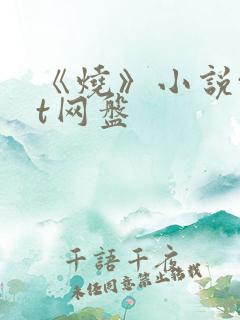 《烧》小说txt网盘