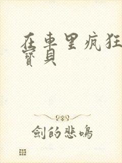 在车里疯狂挺进宝贝