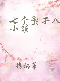 七个盘子八个碗小说