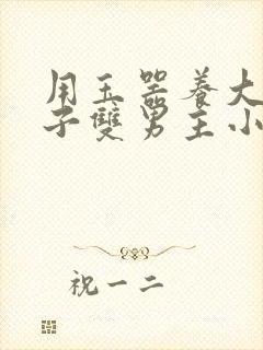 用玉器养大的皇子双男主小说