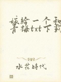 嫁给一个和尚罗青梅txt下载