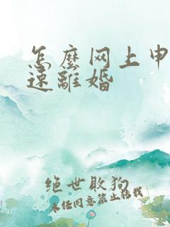 怎么网上申请快速离婚