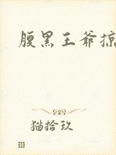 腹黑王爷掠邪妃