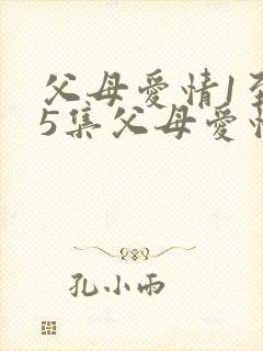 父母爱情1至45集父母爱情原著